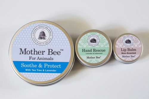 Mother Bee Starter Kit - £19